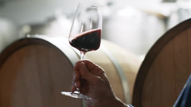 意大利葡萄采摘后的葡萄酒品尝视频素材