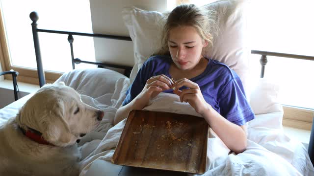 少女和她的寻回犬视频素材