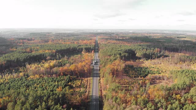 笔直的高速公路载着汽车和卡车穿过秋天的森林。在秋天，汽车道路被五颜六色的树木包围视频素材