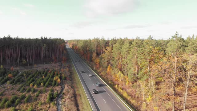 快速的汽车在高速公路上行驶，在秋天的美丽森林中超越其他车辆。汽车和卡车在路上与五颜六色的树叶树视频素材