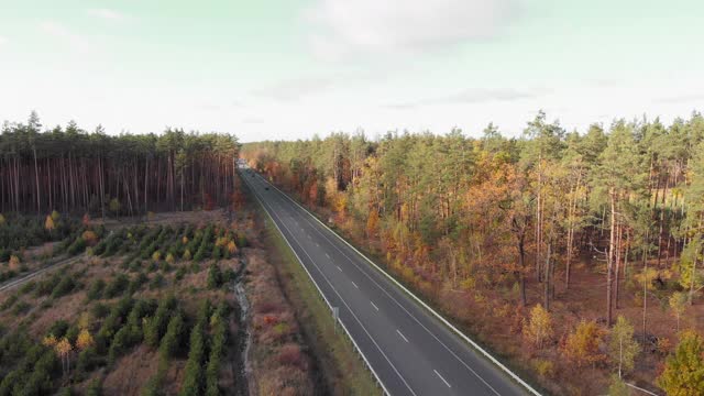 在美丽的秋天森林里，有许多车道的高速公路和卡车。高速公路上，汽车穿梭在绿树、红树、黄树的秋天森林中视频素材
