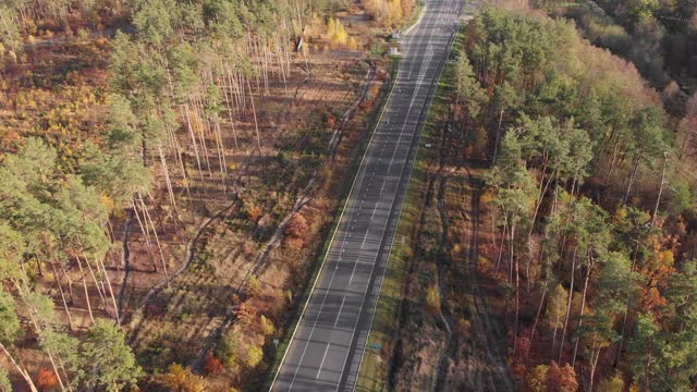 汽车在道路上行驶，穿过令人难以置信的美丽的秋天景观，绿色、红色和黄色的树木。森林里的高速公路视频素材