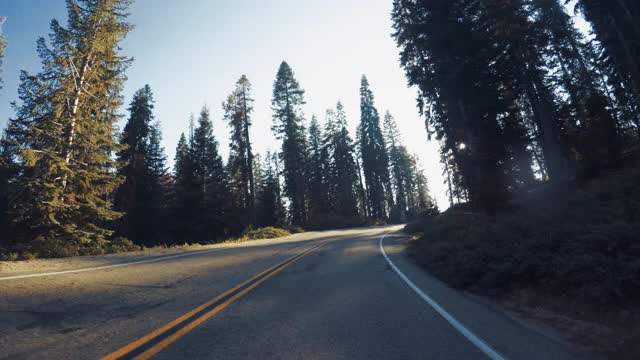 在美国西南部的夏季旅行:POV汽车驾驶在红杉国家公园，加利福尼亚州视频素材