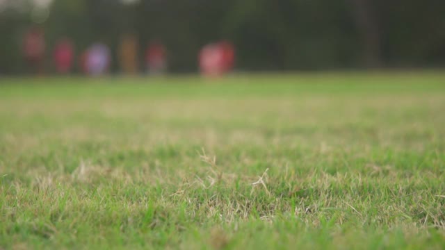美式足球练习，把球放在前景视频下载