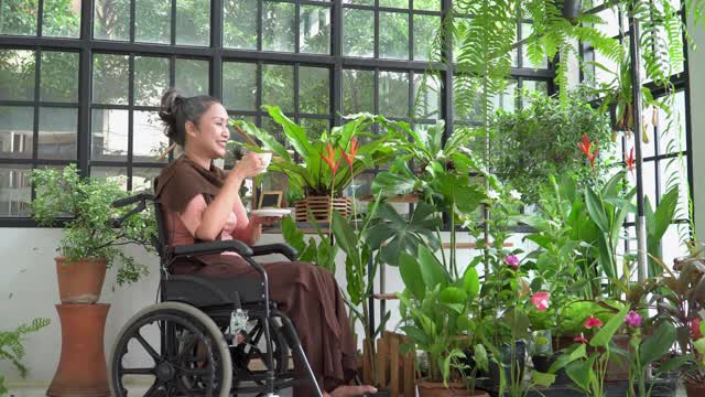 侧观美丽的残疾人成熟的妻子坐在轮椅上的女人带着幸福，微笑着看一朵花带着放松从喝一杯茶。退休后，她是一名环保主义者，业余爱好在花房种花。视频下载