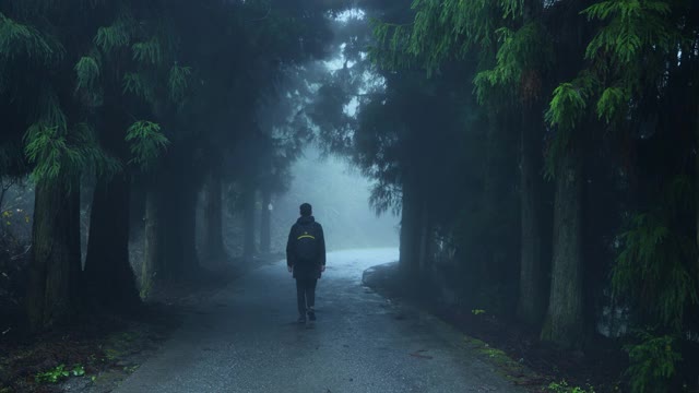 人走在雾林路上视频素材