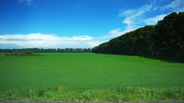 在夏天沿着绿色的田野开车视频素材