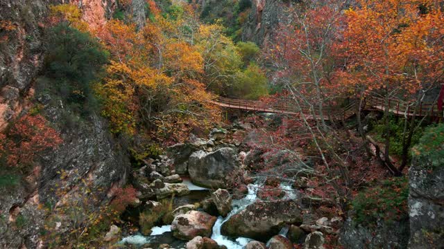 峡谷在秋天视频下载