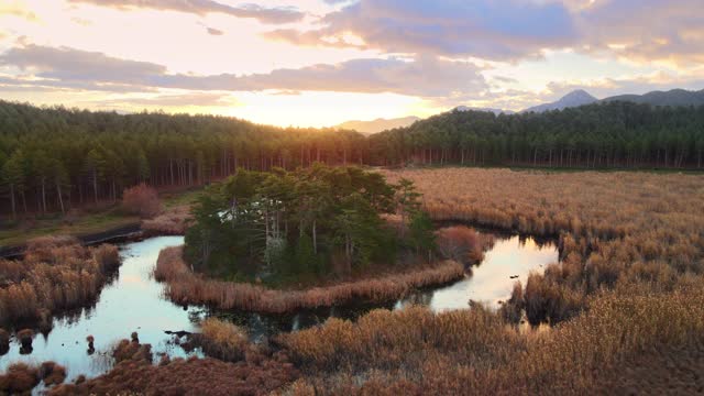 有湖泊和森林的田园诗般的自然景色视频下载