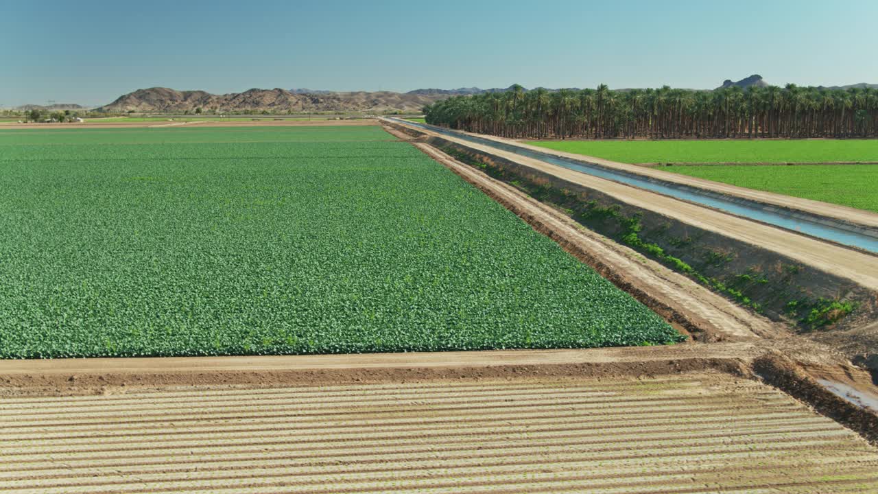 运河灌溉帝国县农田在加利福尼亚在冬天-空中视频下载