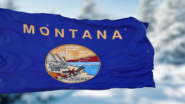 蒙大拿冬季雪花旗背景。美利坚合众国视频素材