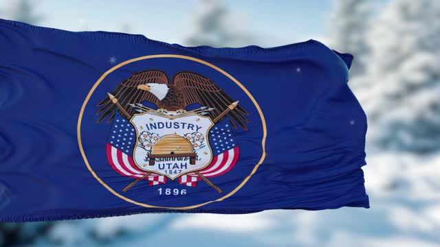 犹他州冬季雪花旗背景。美利坚合众国视频素材