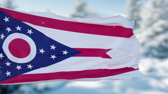 俄亥俄州冬天的雪花旗背景。美利坚合众国视频素材