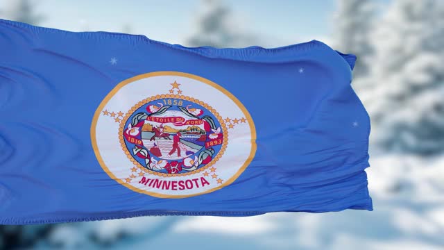 明尼苏达冬天的雪花旗背景。美利坚合众国视频素材