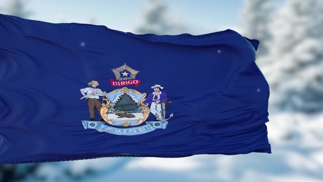 缅因州冬季雪花旗背景。美利坚合众国视频素材