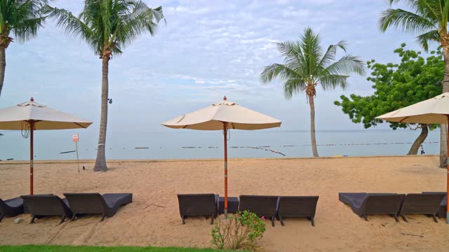 空沙滩椅子与棕榈树在海滩上与大海的背景视频素材