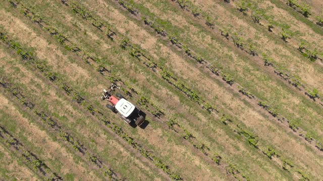 航拍视频，拖拉机在葡萄园农场工作，有机法国视频下载