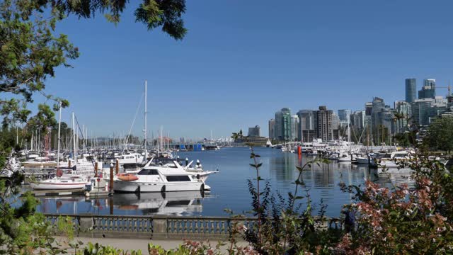 游艇停泊在码头和温哥华市中心的天际线上视频下载