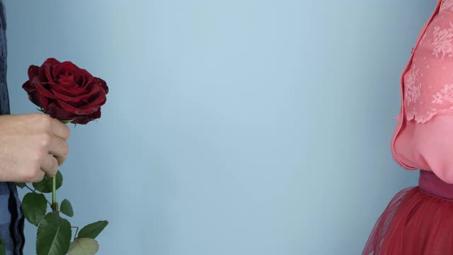 情人节礼物。男手给女手送红玫瑰，特写。情人节，爱的概念。浪漫约会的概念。男人在给心爱的女人礼物视频素材