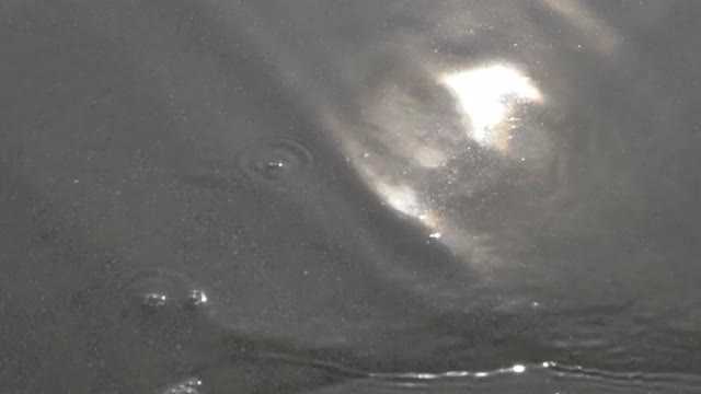 慢镜头，水面上的阳光反射，温哥华岛视频下载