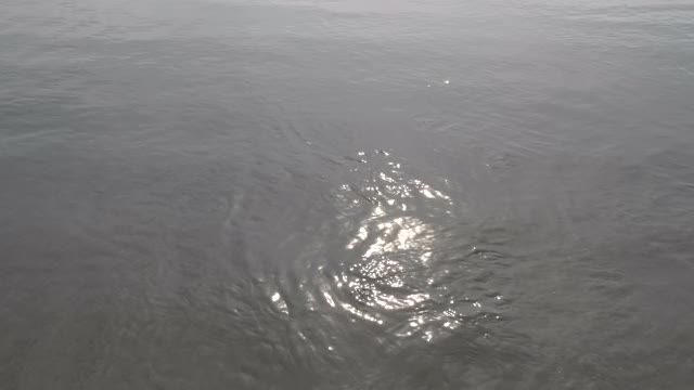 慢镜头，水面上的阳光反射，温哥华岛视频下载