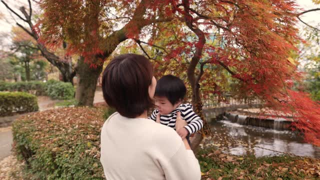 年轻的母亲在秋天的红叶下捡起她的宝贝儿子视频下载