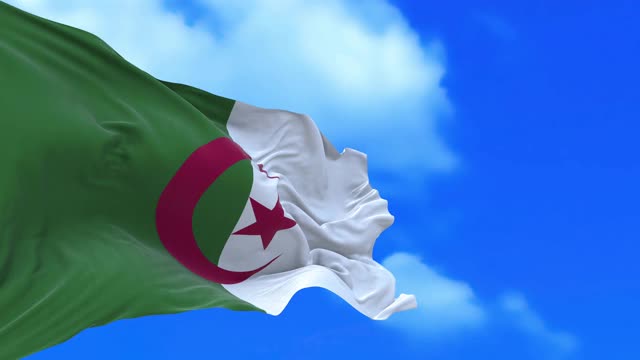 阿尔及利亚国旗。视频下载