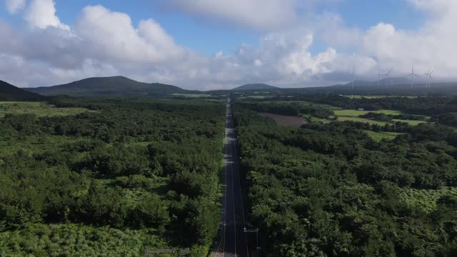 穿越森林和汽车运动的道路/济州岛，韩国视频下载