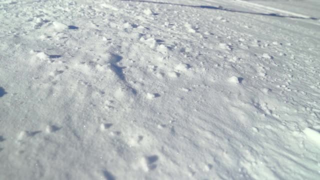 一对高山速降滑雪板落在新雪粉上，开始慢动作滑雪视频素材