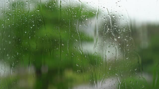 树和棕榈树在大雨和强风下。从被雨淋透的窗户射了出去视频素材
