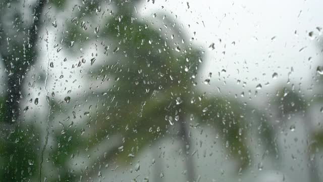 棕榈树在大雨和强风下。从被雨淋透的窗户射了出去。热带风暴的概念视频素材