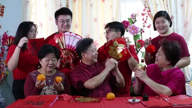 春节庆祝活动视频下载