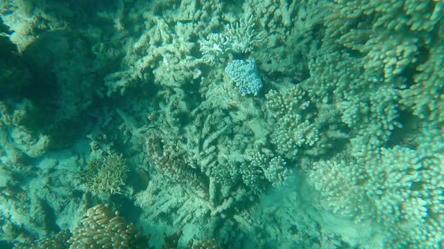 水面下和水面上，水下珊瑚礁，天空和云彩视频素材