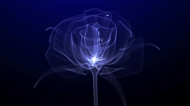 美丽的玫瑰花与发光的光和闪亮的粒子，超现实的数字3D动画花与相机运动，3D概念艺术，特写视图，30FPS,4k高质量，3D动画。视频下载