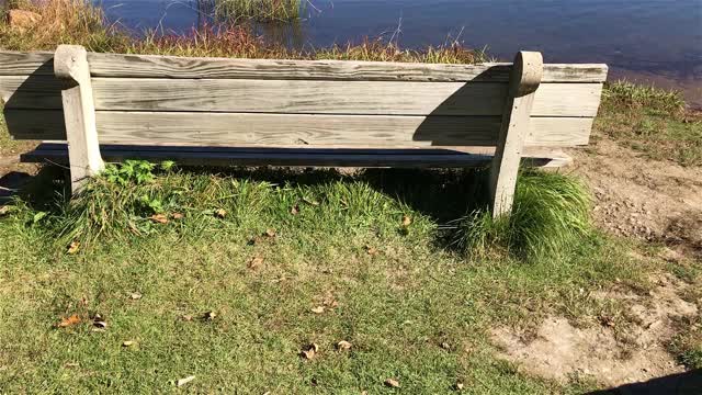 秋天坐在湖边的长椅上视频素材