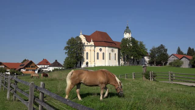 一匹马在维斯朝圣教堂前吃草视频素材