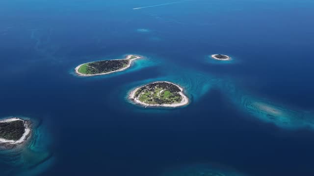 克罗地亚伊斯特里亚布里朱尼群岛上空海鸥的鸟瞰图，从24帧每秒加速2.5倍。视频下载