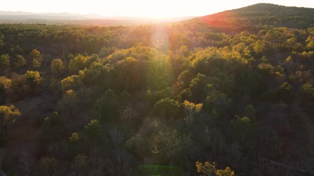 鸟瞰斯洛文尼亚喀斯特森林在日落期间视频下载