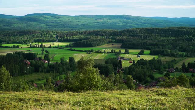 宽，高角度，丘陵景观夏季，瑞典视频下载