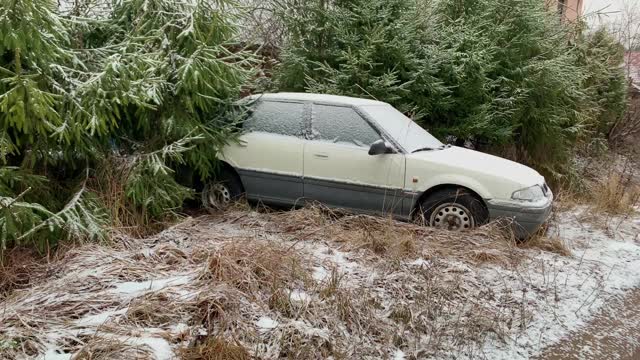 在冬天，旧汽车被遗弃在白雪覆盖的冷杉树下视频素材