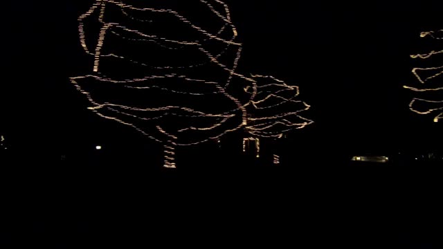 常春藤山IV同步系列左圣诞灯装饰视频下载
