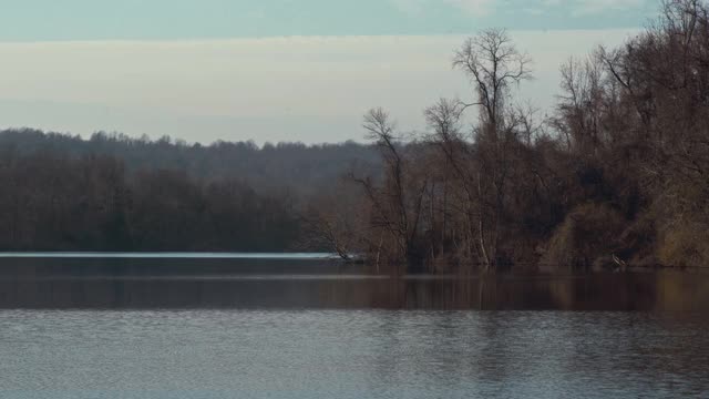 风景的沼泽溪水库湖泊视频下载