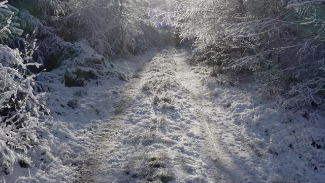 在苏格兰西南部的邓弗里斯和加洛韦被雪覆盖的轨道的低角度视图视频下载