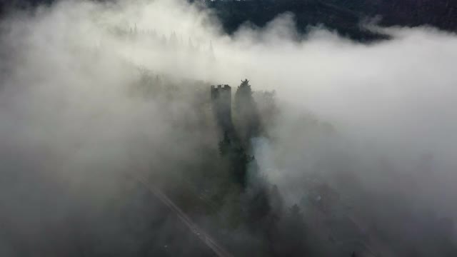 意大利乡间林地上的雾视频素材