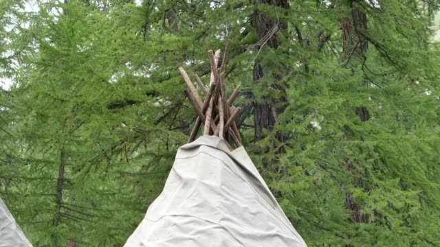 用长树枝制作的传统帐篷视频下载