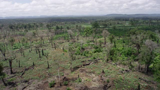 追踪柬埔寨的森林砍伐地区。视频下载