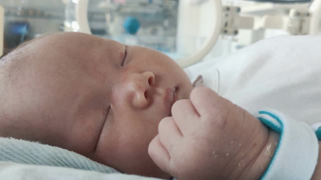 医院孵化器内的新生儿视频素材