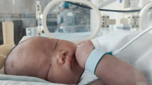医院孵化器内的新生儿视频下载
