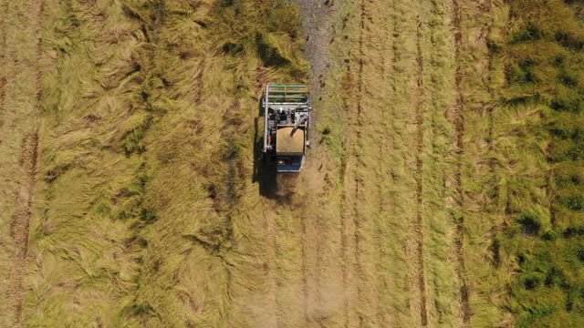 俯视图农民和农业工业拖拉机机械收割农田耕地，鸟瞰图。世界在工作无人机视图概念。视频素材