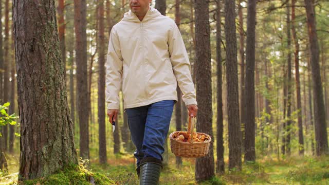 快乐的人拿着篮子在森林里采蘑菇视频素材